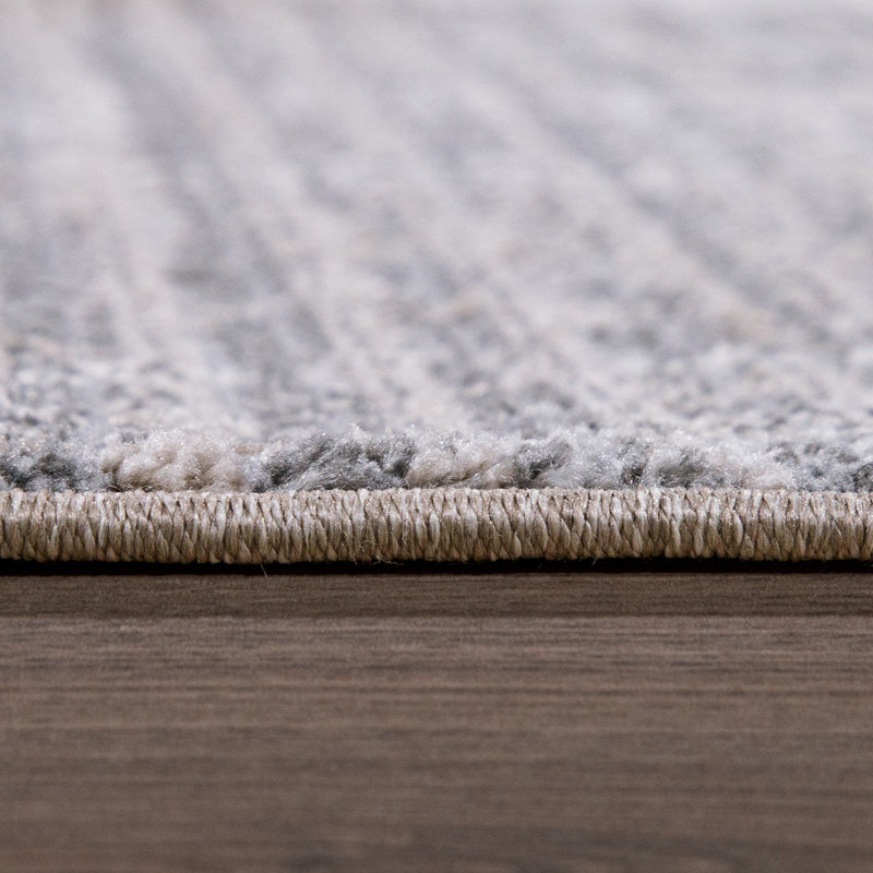 Bartonsville Abstract Cotton Area Rug, Rectangle 240 x 340cm
