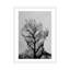 « tree of life » par andreas lie-impression sur impression-49900055-49900056