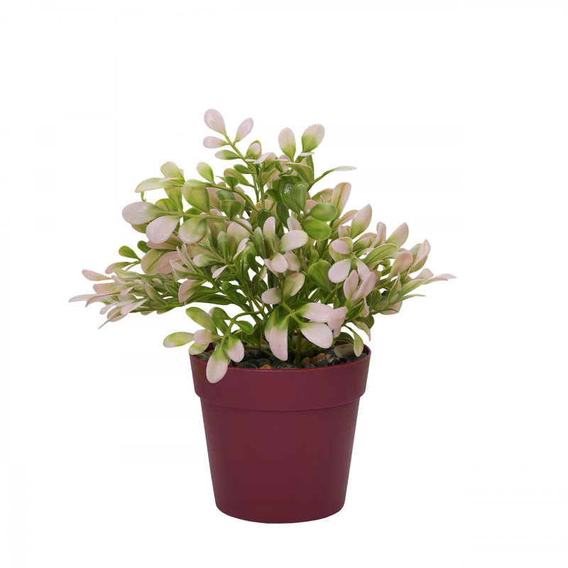Pot décoratif Cisneros, Mauve