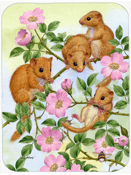 Planche à découper en verre caroline trésors dormice Dormouse