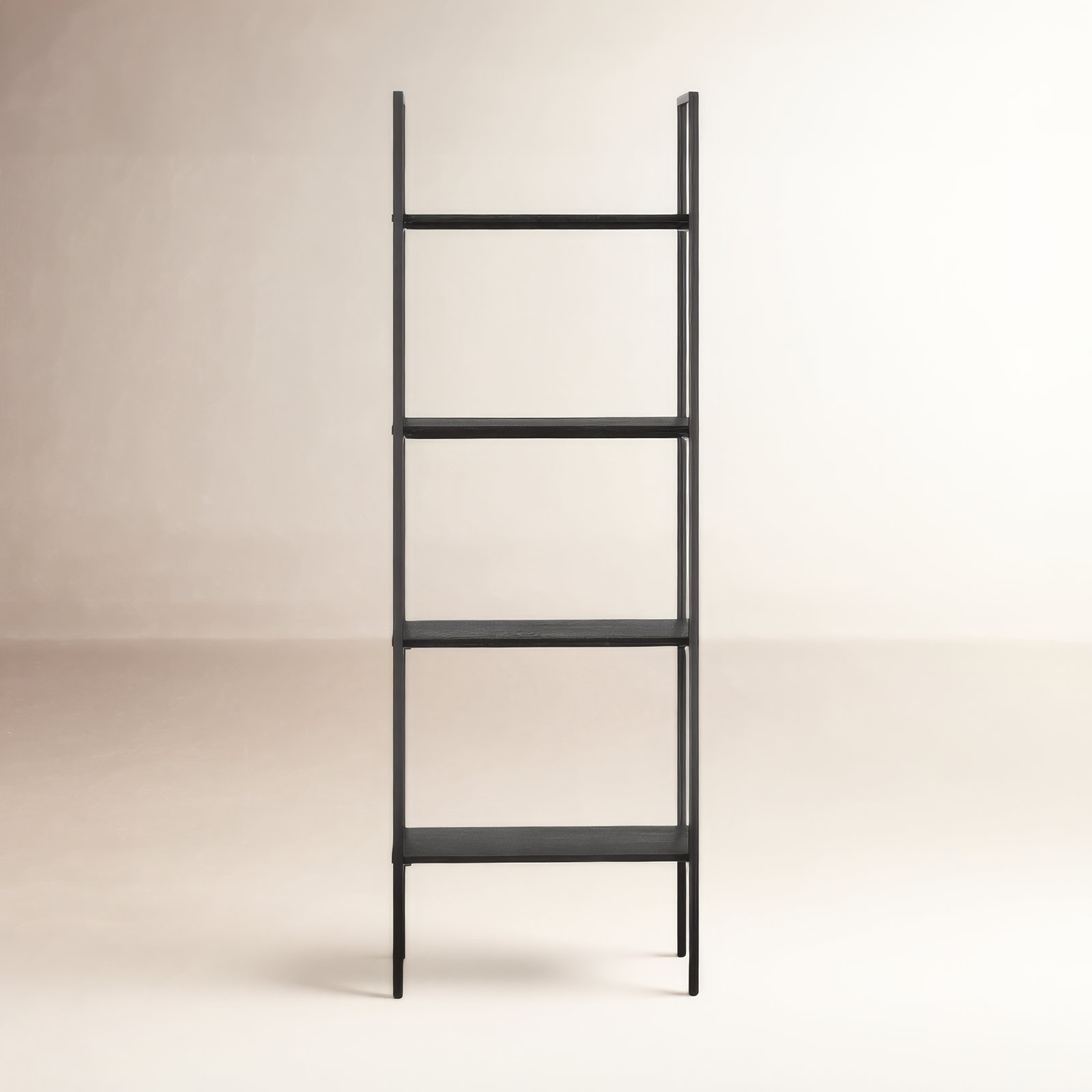 Soleil 72" H X 24" W Bookcase, Black