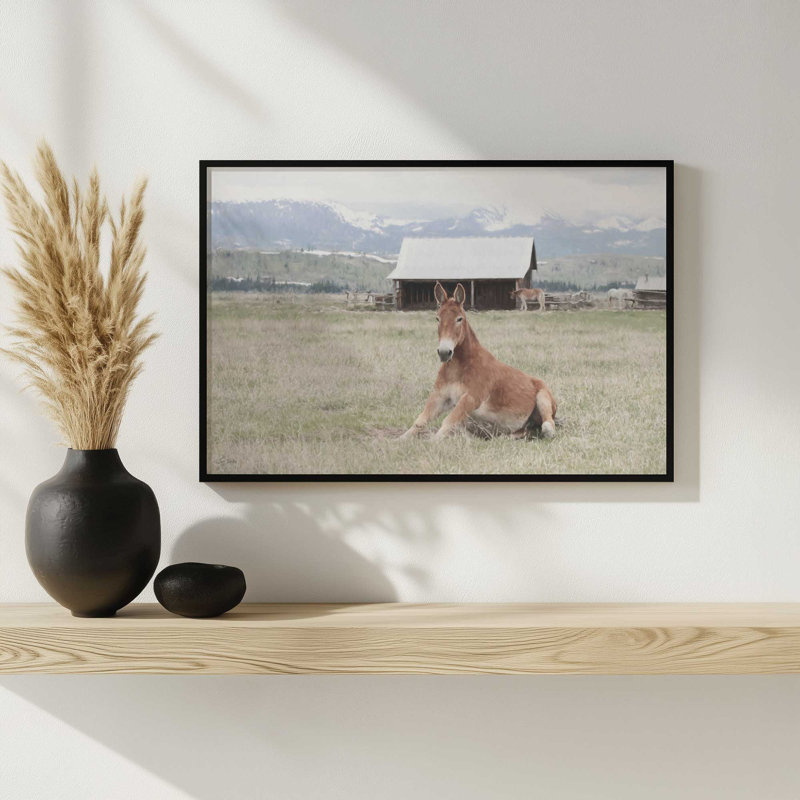«Mountain Mule» par Lori Deiter, reproduction d'art, 36 W x 24 H, Gold, Framed Print