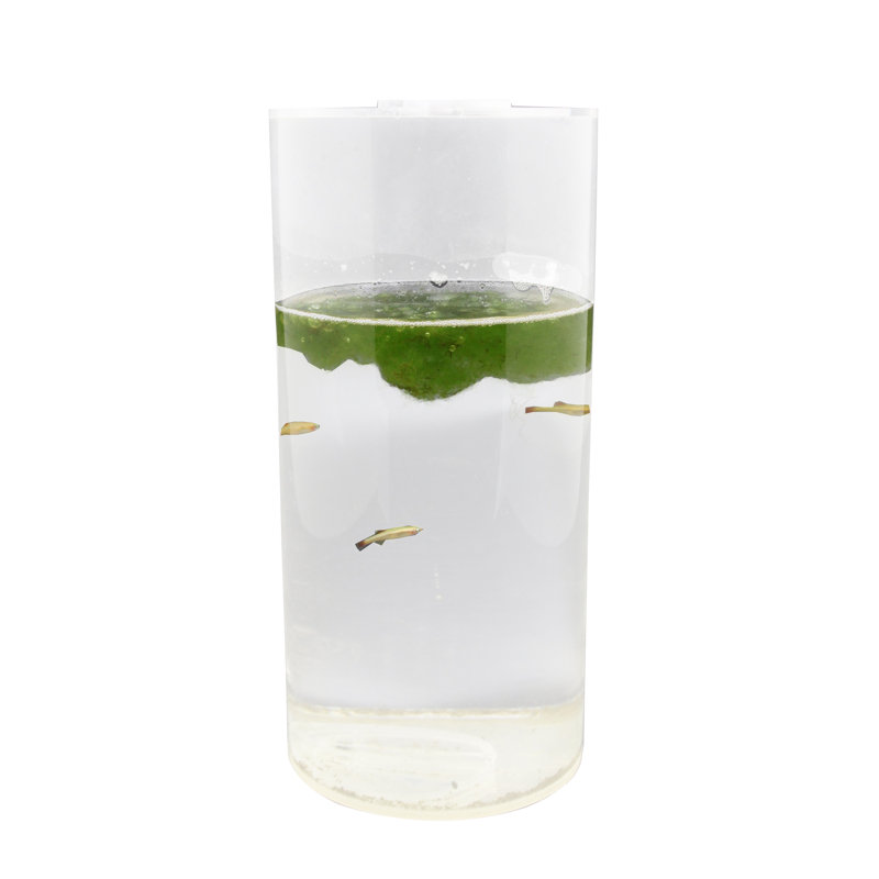 Eco-Container Sealable Acrylic Cylinder Aquarrium Terrarium