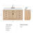 Thornaby 66'' Solid Wood Single Bathroom Vanity with 1.5'' White Quartz Top-107225437-119089068