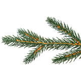 Real Touch Pre-Lit Cumberland Pine Artificial Christmas Tree - Warm White LED