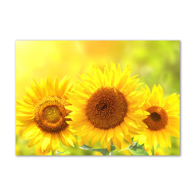 Sunflowers - Wrapped Canvas Print