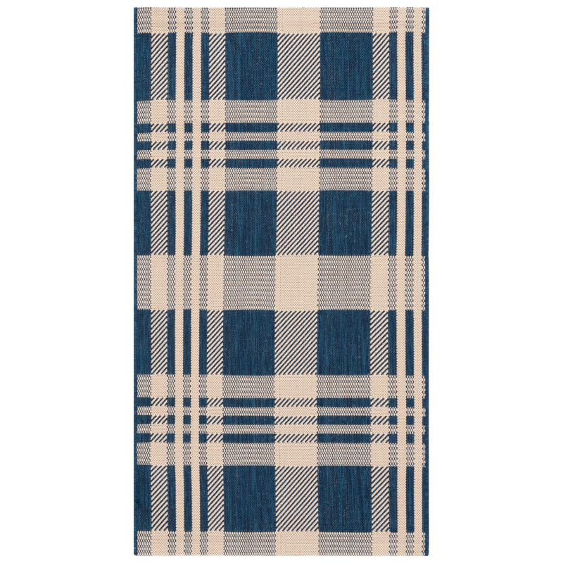 Janissa Performance Plaid Indoor/Outdoor Area Rug, Rectangle 2'7" x 5'