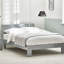 Meldrum Bed-569411248-573357983-597795923