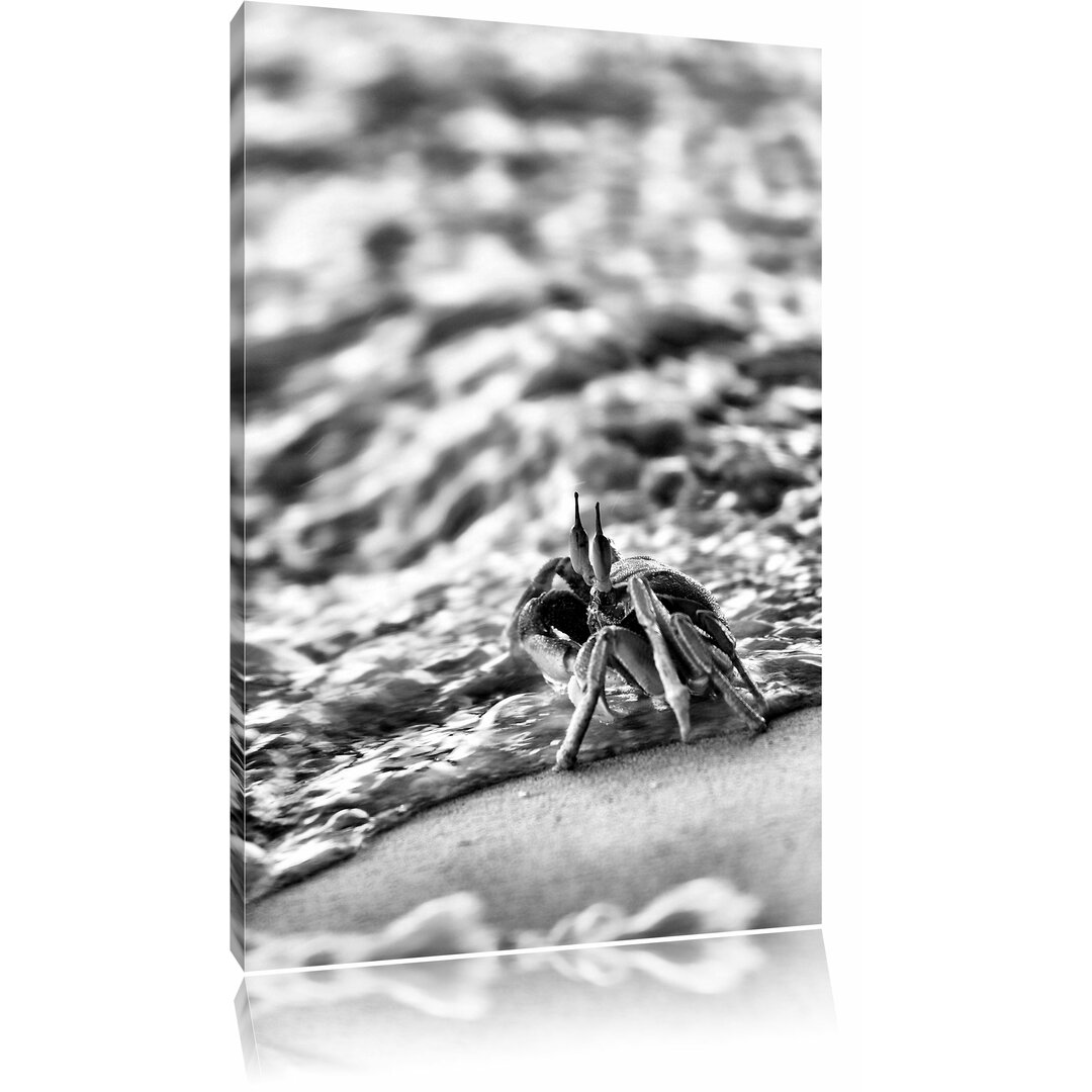 Leinwandbild Kleine Krabbe am Strand in Monochrom