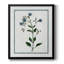 Toile encadrée de qualité supérieure Shabby Elegance Botanical II - prête à être accrochée-1226880468-1226880469