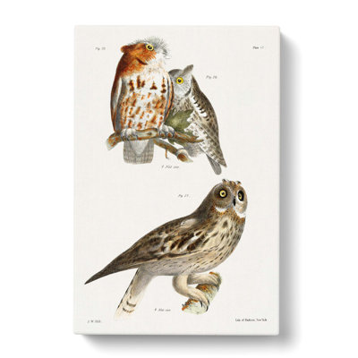 Owls by J.E. De Kay - Wrapped Canvas Painting