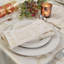 Ambir Polyester Square Napkin-850361450