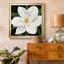 «Midnight Magnolia II», reproduction encadrée de qualité supérieure - prête à être accrochée-1218817043-1218789669-1218858699