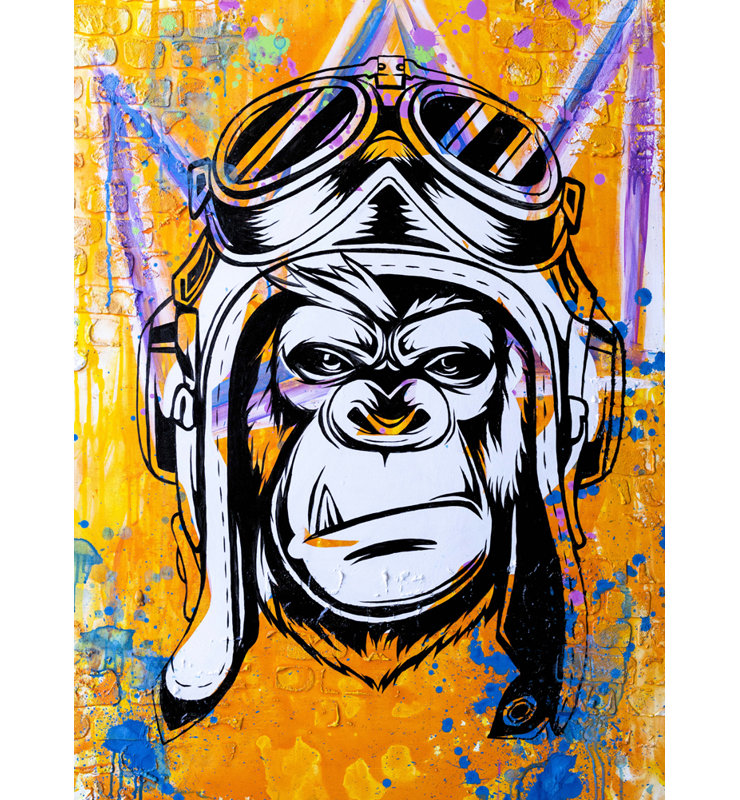 «Aviator» par Pratikacha Muir - reproduction d'art sur toile tendue, H 24 po x l 20 po x P 1,5 po