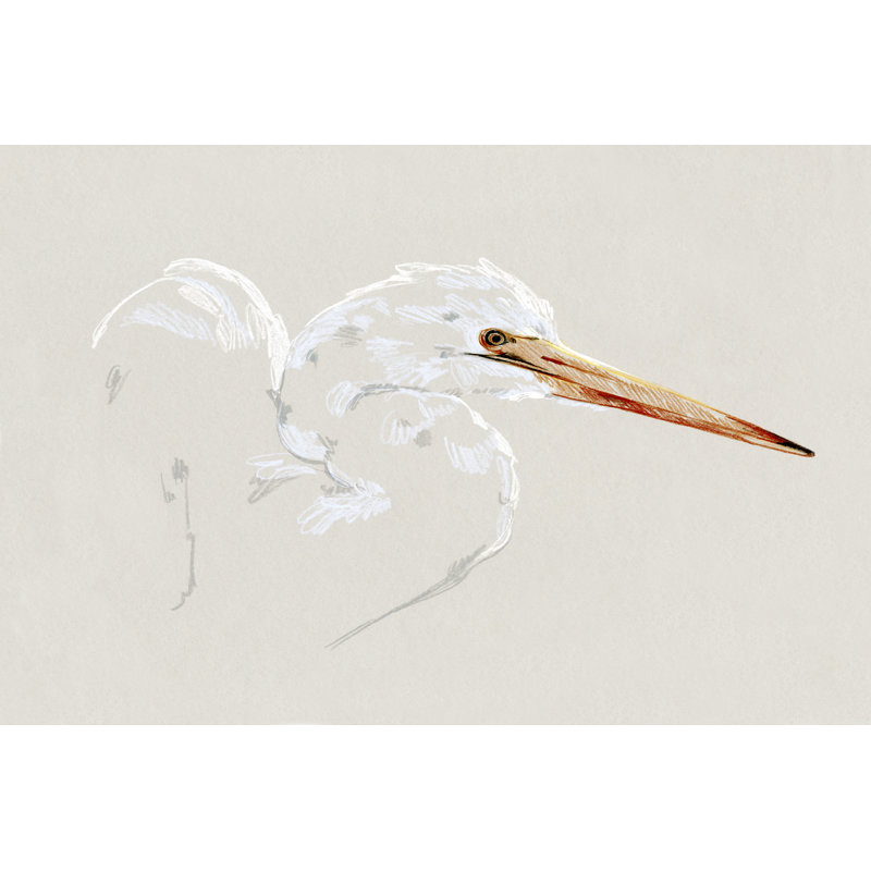 Bright Egret Sketch I by Emma Caroline - Wrapped Canvas Painting, 81cm H x 122cm W