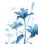 Floral Rhythm II Print by Janice Sadler-26728454-26728455