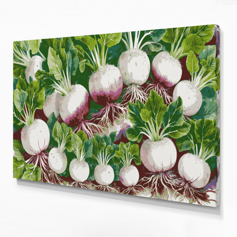 Art mural sur toile, légumes et radis Daikon, H 16 po x l 20 po