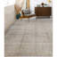 Wool Area Rug in Beige