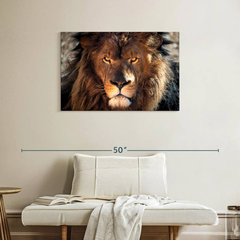 Tough Lion Head, 24" H x 36" W