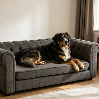 Canapé doux et confortable pour animaux de compagnie avec dossier et accoudoirs