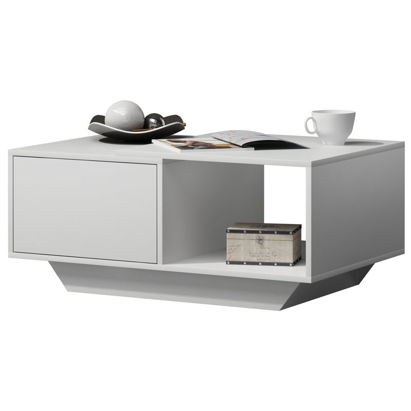 Dharmadhikari Floor Shelf Coffee Table with Storage, White