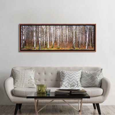 " Silver Birch Trees In A Forestnarke "