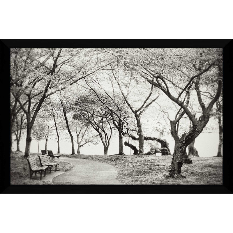 «Path Walk», reproduction de photo, H 27,5 po x l 39,5 po x P 0,75 po, Cadre noir