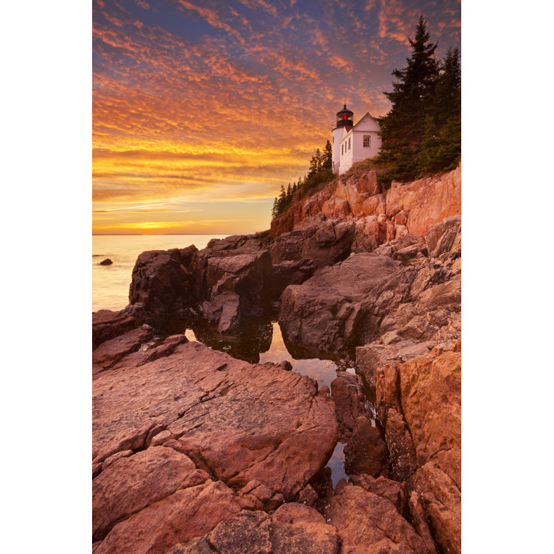 Bass Harbour Head Lighthouse by Sara_Winter, 18" H x 12" W