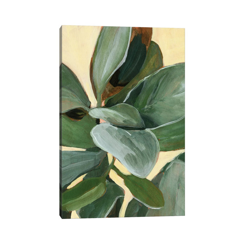 Plant Study I by Annie Warren - Wrapped Canvas Painting, 101.6 cm H x 66.04 cm W x 3.175 cm D