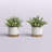 7.5'' Faux Eucalyptus Plant in Pot