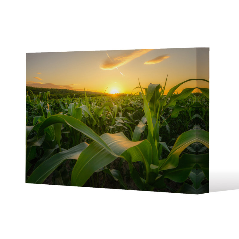 Field At Sunset by Andrew Lee - Wrapped Canvas Print, 41cm H x 61cm W x 4cm D