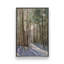 «Light Through the Trees» par Stephen Calcasola, reproduction d'art-249418778-249418776