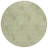 Leis Floral Indoor Rug-422249337