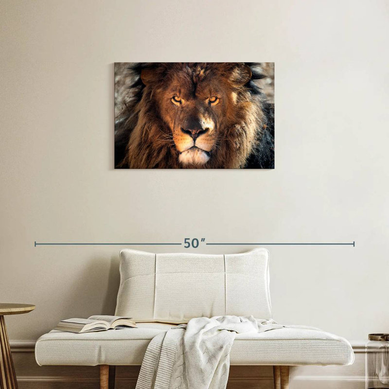 Tête de lion robuste, H 20 po x l 30 po