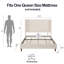 Demaryius Upholstered Bed-713745041-713745046
