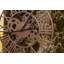 Capel Wall Clock