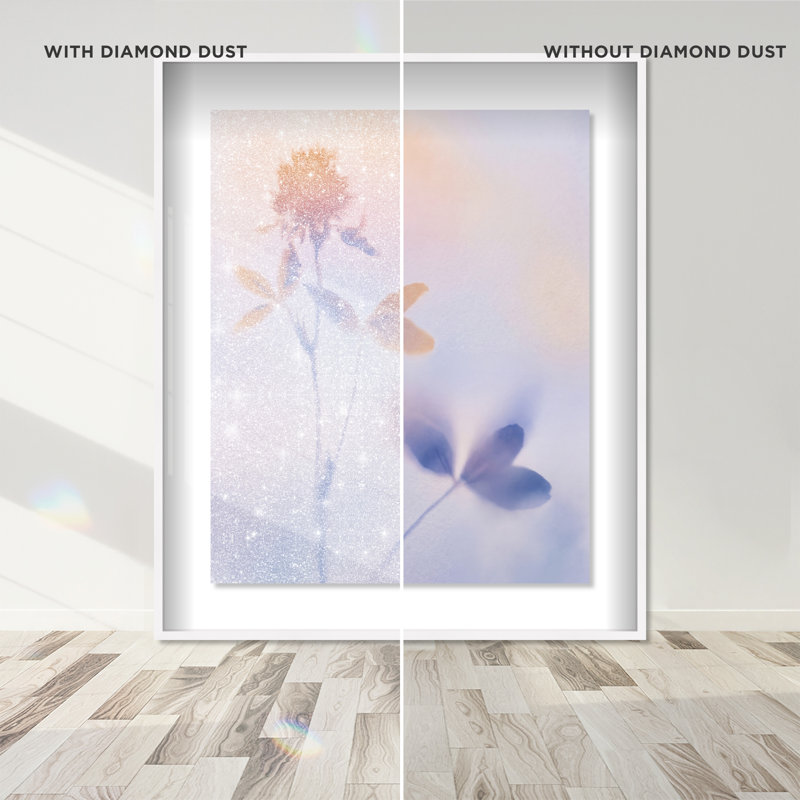 Lavender Shadows II Shadowbox Floral & Botanical Print by Oliver Gal, Black Frame, 16 x 20, 21.5"H x 25.5"W, White Shadowbox
