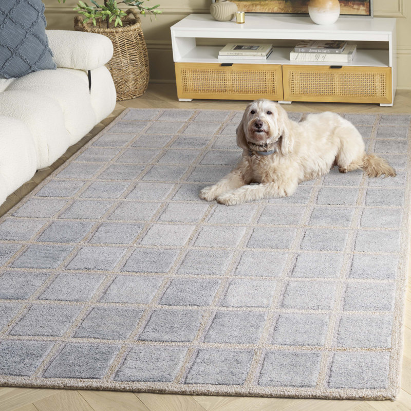 Pierre 102 Hand Tufted Pet/Cotton Geometric Indoor Use Only Rug in Beige/Gray, Rectangle 5' x 8'