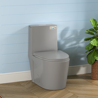 Compact One Piece Modern Elongated Toilet with ADA-Compliant Comfort Height 17.1", Save Water Dual Flush 1.1/1.6 GPF , MAP 1000g (UF Seat Included)
