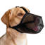 Wireless Electric Dog Fence-98664283-98664284