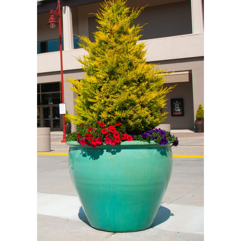 Pot de fleurs extra large en céramique émaillée, style aquarium - Intérieur/Extérieur, P 23,0 po x H 21,0 po, Bronze mat