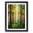 Black Framed selected