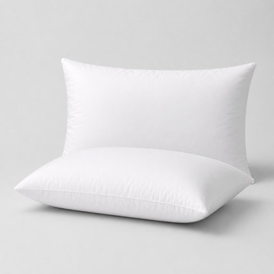 Polyester Sham Insert - Rectangular Poly Filled Decorative Pillow Insert - Twin Pack - 20" x 26" - White