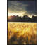 Here And Elsewhere II Print by David Keochkerian-67116794-67116798