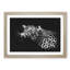 Leopard with Green Eyes High - Picture Frame Graphic Art Print-56860018-56860022