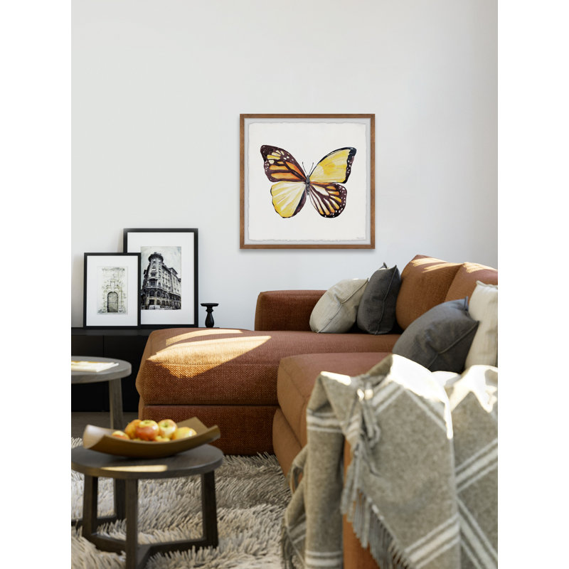 Distinct Wings - Single Picture Frame Painting, 30cm H x 30cm W x 3.81cm D