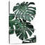 Harnek Lush Monstera II-108661324