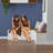 L-Shaped Shoe Bench  Corner Breakfast Nook Bench With Storage Space For Entryway