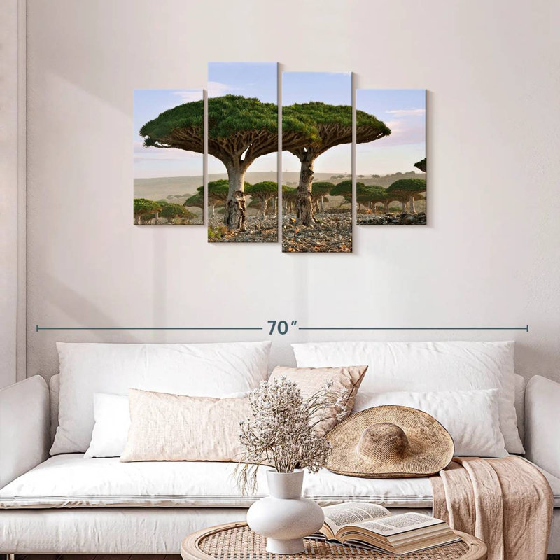 Alvord deux sapins Socotra, H 27 po x l 43 po
