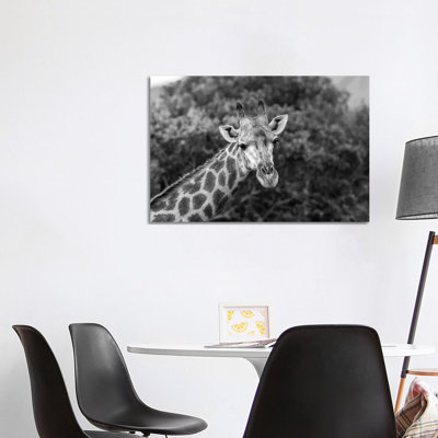 Look at Me, I'm Handsome 1 Piece Wrapped Canvas Wall Art